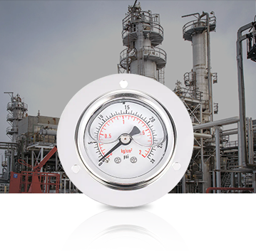 Industria petrochimică Pressure Gauges