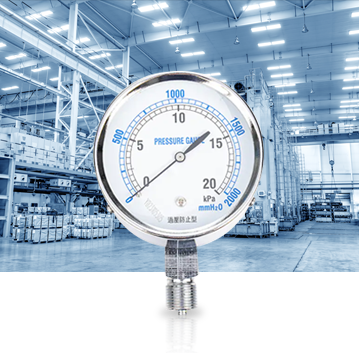 Industria producției industriale Pressure Gauges